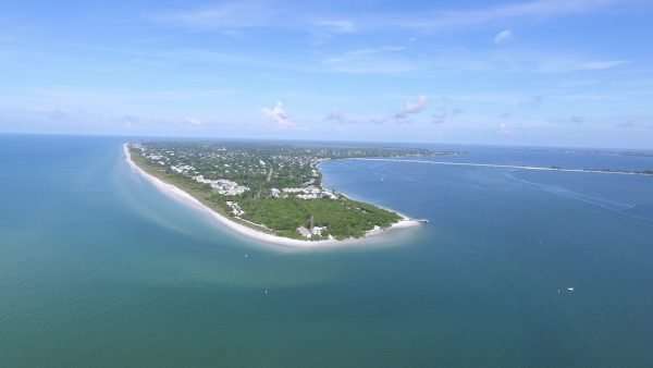 Read more about the article Sanibel